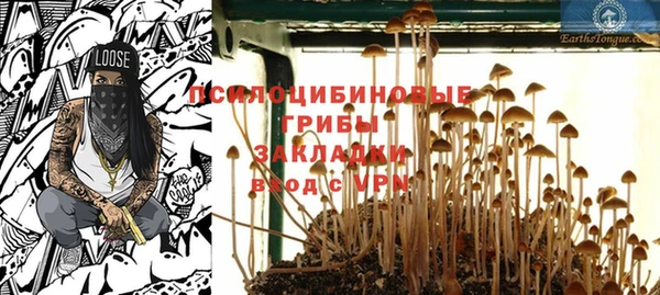 стаф Абинск