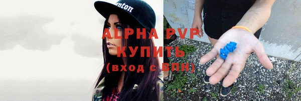 PSILOCYBIN Абаза