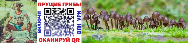 Псилоцибиновые грибы мухоморы  Усолье-Сибирское 